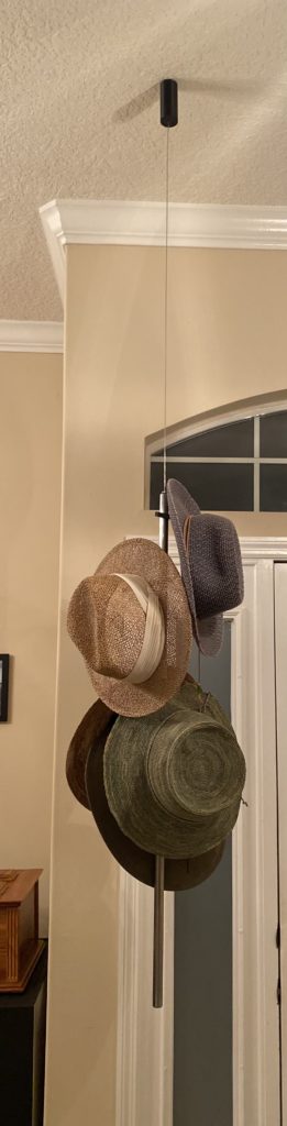 Contemporary hat rack